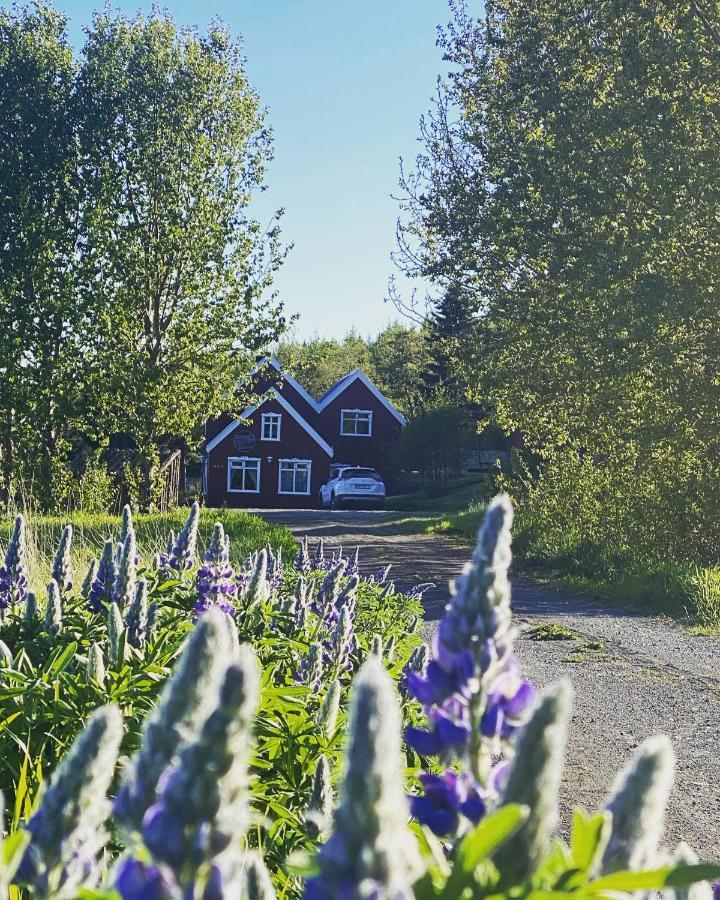 Hengifosslodge Skaldahus